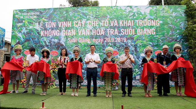 Semana cultural y turística de Muong Lo enaltece la planta de té tradicional