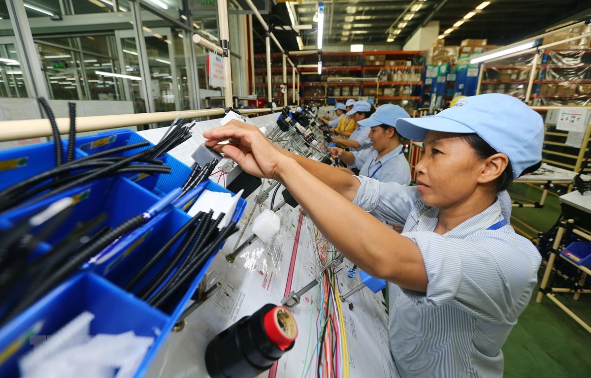 Expertos internacionales reajustan pronósticos sobre crecimiento de la economía vietnamita