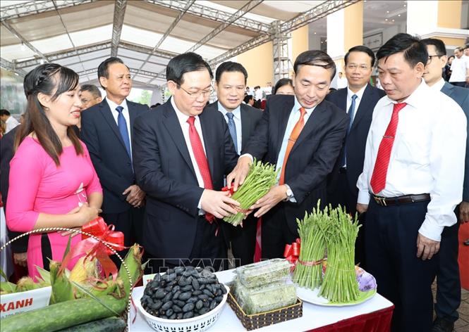 Thai Nguyen revisa logros de construcción de nueva ruralidad