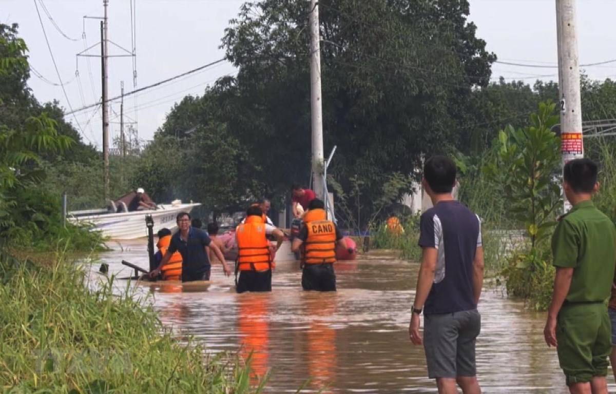 Vietnam y Japón comparten experiencias sobre mitigación de desastres naturales
