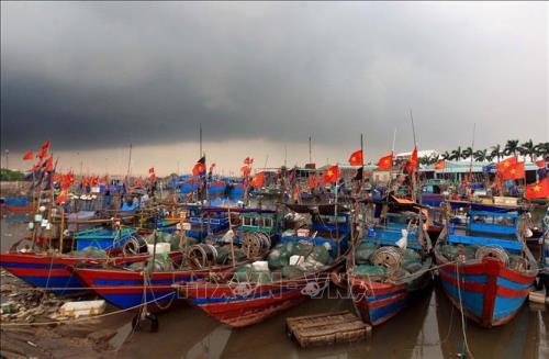 Presidente de la Comisión de Comercio Internacional del Parlamento Europeo aprecia esfuerzos de Vietnam por pesca legal