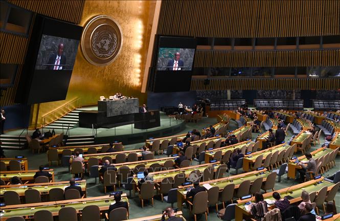 ONU declara 2021 como Año Internacional de Economía Creativa para el Desarrollo Sostenible