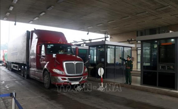 Exportaciones e importaciones tramitadas en puerta fronteriza de Lao Cai en el inicio del Año de la Rata