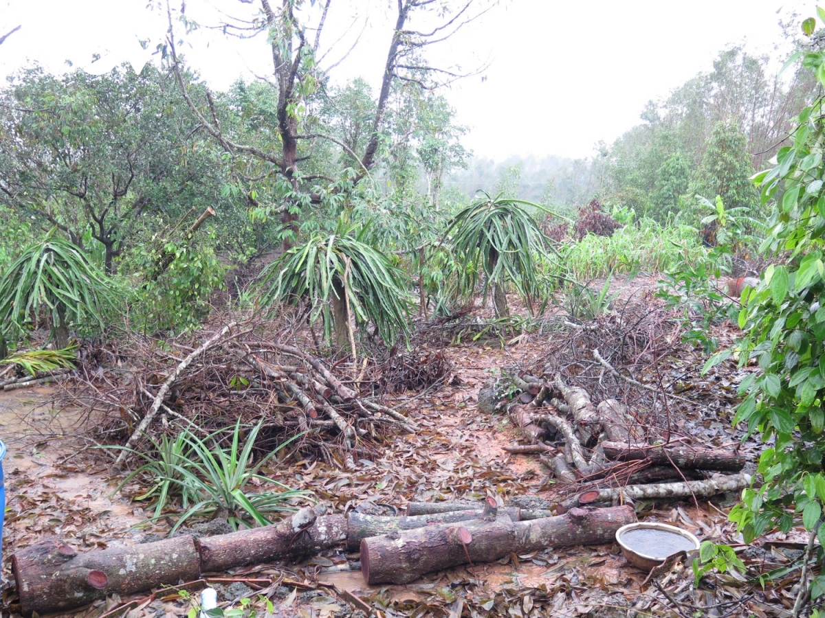 Ministerio de Agricultura por impulsar la recuperación en las provincias afectadas por desastres
