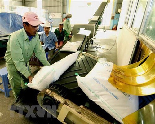 El primer lote de 60 toneladas de arroz vietnamita llega a Reino Unido bajo el Tratado de Libre Comercio