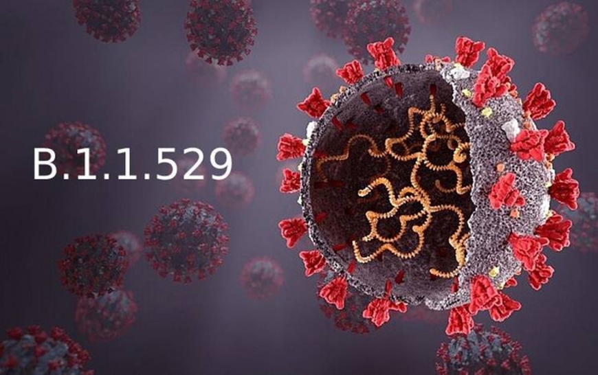 La variante del coronavirus Ómicron provoca grandes preocupaciones en el mundo