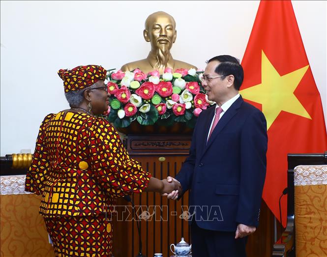 Canciller Bui Thanh Son: Vietnam apoya sistema de comercio multilateral abierto, transparente y justo