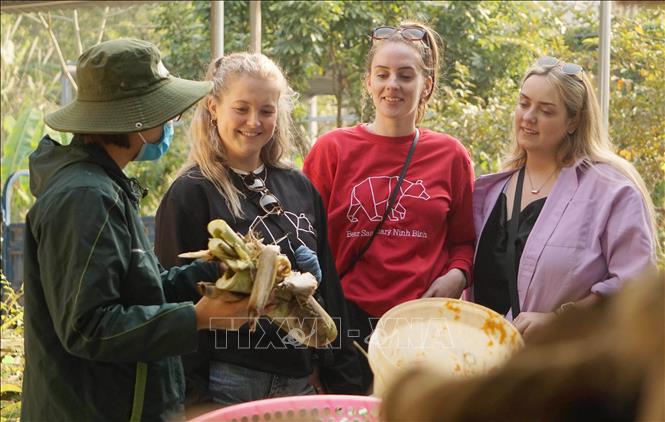 Número de turistas internacionales en Vietnam aumenta un 6,5% en julio