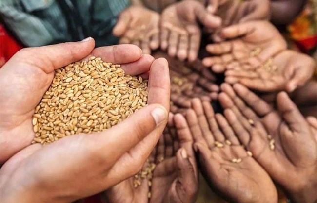 Vietnam conmemora el Día Mundial de la Alimentación