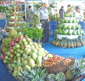 Vietnam memacu ekspor untuk menuju ke rangkaian nilai tambah