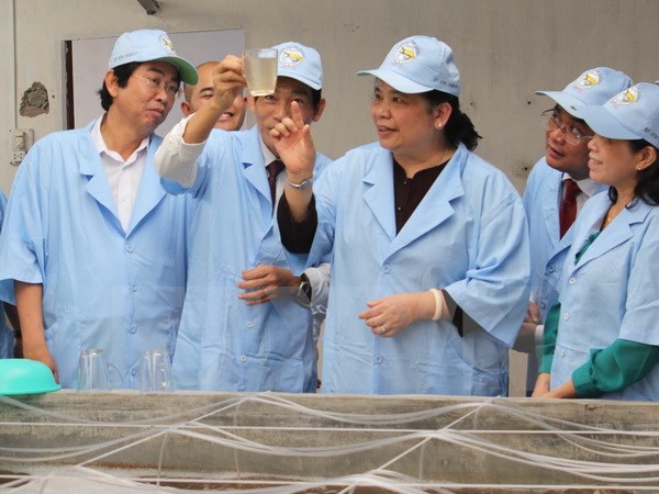 Wakil Ketua MN Tong Thi Phong melakukan kunjungan di propinsi Bac Lieu