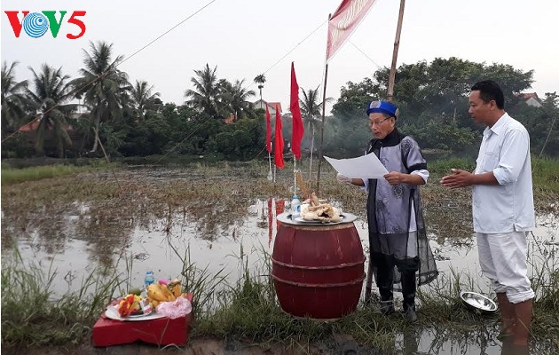 Pesta Turun ke Sawah yang khas dari warga Kotamadya Quang Yen, Propinsi Quang Ninh