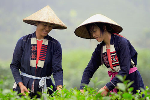 Busana tradisional yang khas dari perempuan etnis minoritas Cao Lan di Provinsi Bac Giang