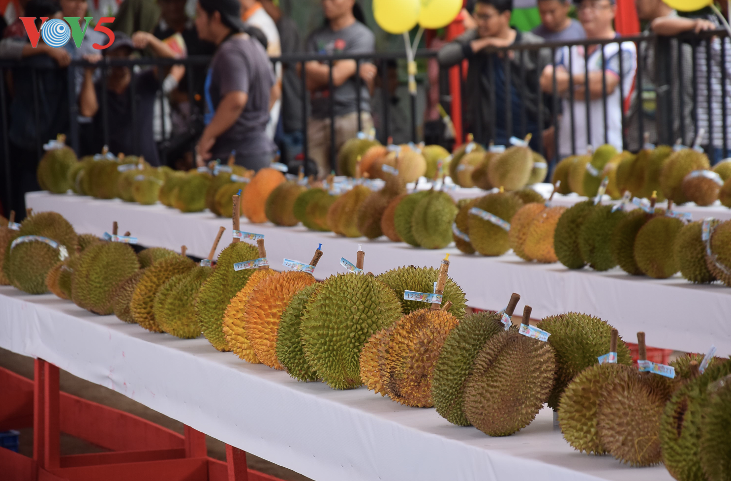 Festival Durian Khatulistiwa 2019, kebanggaan masyarakat Kalimantan Barat