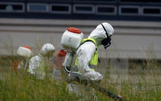 В Китае выздоровел первый пациент с вирусом Зика