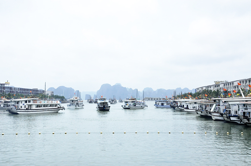 Во многих провинциях Вьетнама выросло число туристов во время праздника независимости страны
