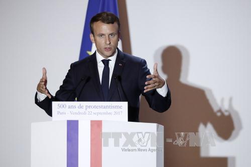 Франция призвала Запад к совместному решению сирийского кризиса