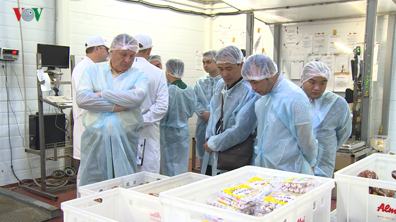 Предприятия Вьетнама и Смоленской области устанавливают бизнес-связи