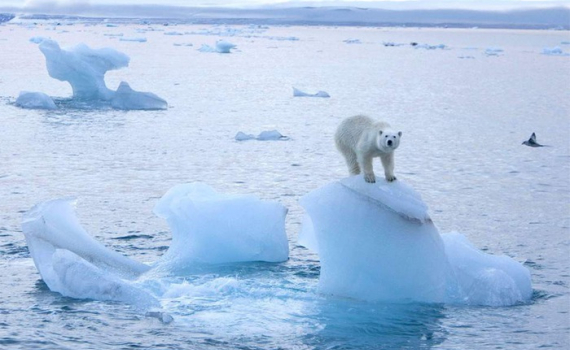 22 апреля откроется онлайн-саммит по вопросам изменения климата