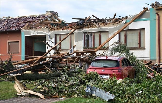 Вьетнамцы в Чехии объединяются в устранении последствий стихийных бедствий