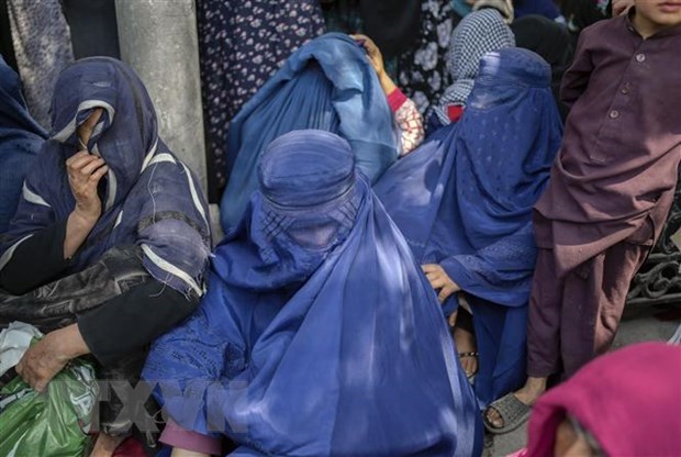 «Большая двадцатка» продвигает всеобъемлющее и прозрачное реформирование ВТО