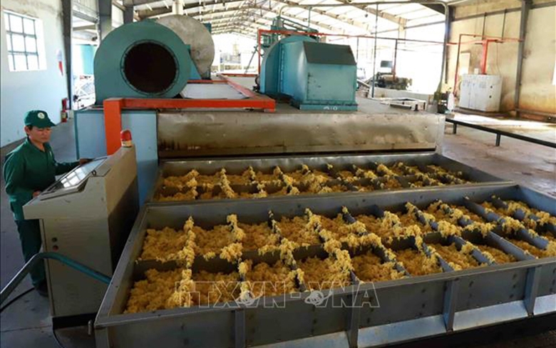 Большие возможности для экспорта вьетнамских товаров на российский рынок