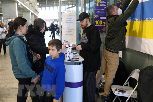 РФ и Украина возобновили переговоры