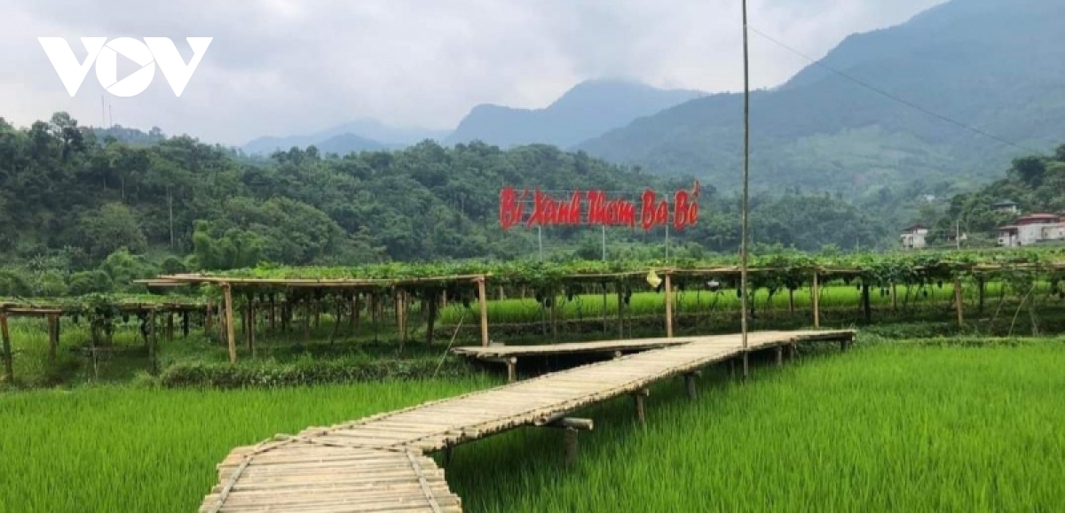 Неделя туризма-культурного наследия Бабе -2022