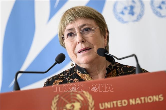 Открылась 50-я сессия Совета ООН по правам человека