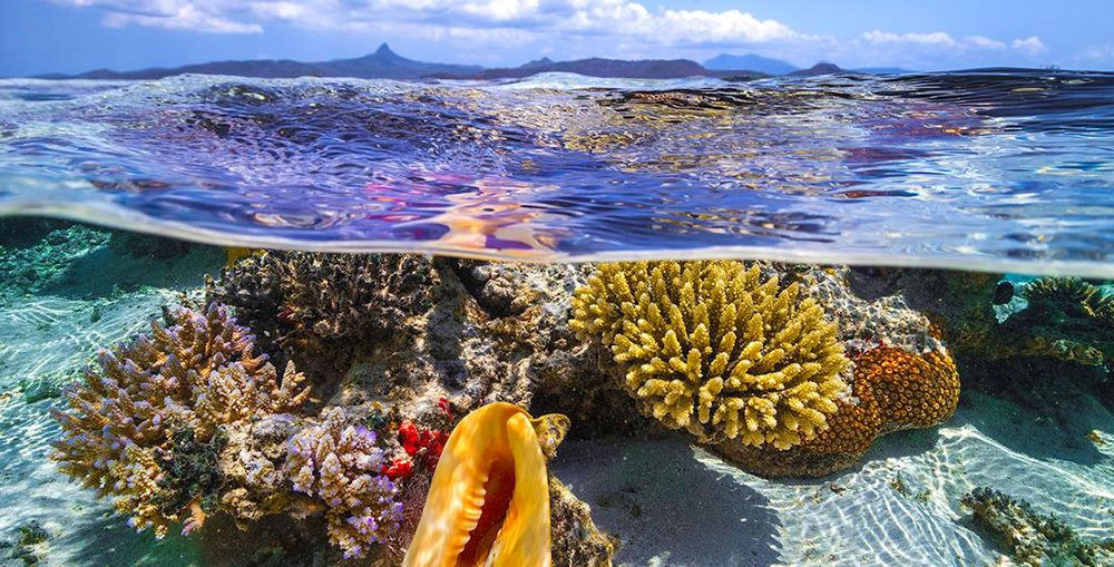 Конференции ООН по океану – 2022 способствует сохранению богатств мирового океана