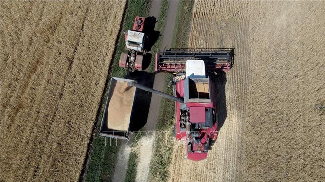 Начался новый раунд переговоров по экспорту украинского зерна