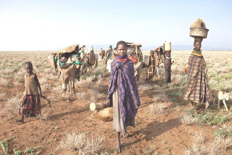 МВФ дал оценку глобальному продовольственному кризису