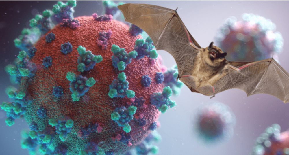 Ежегодный форум высокого уровня, посвященный Рамочному партнерству по профилактике заболеваний, передаваемых от животных к человеку