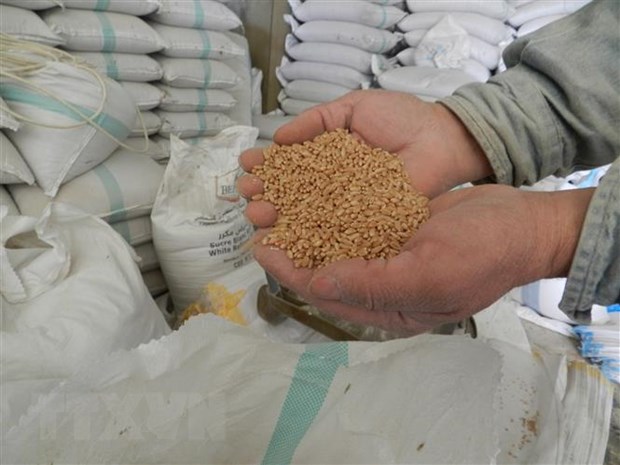 АБР выделит $14 млрд для преодоления продовольственного кризиса в АТР
