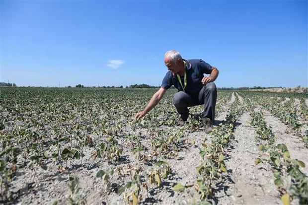 Председатель COP27 предупредил о препятствиях на пути к цели ограничения глобального потепления