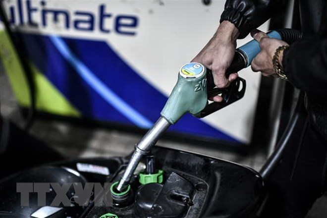 ОПЕК примет решения по добыче нефти на основе оценки состояния рынка нефти
