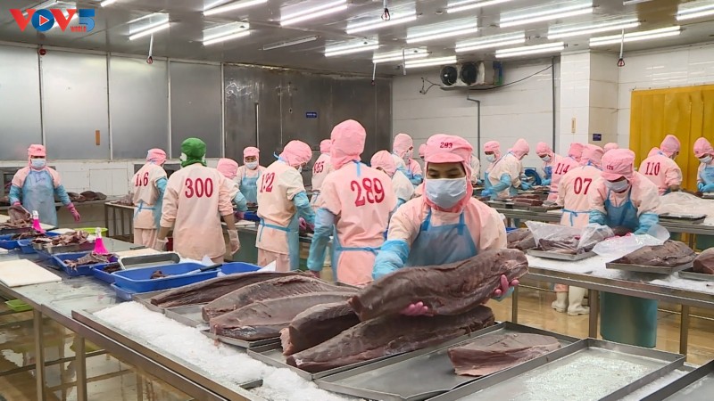 Экспорт вьетнамской рыбной продукции превысил 10 млрд долл. США