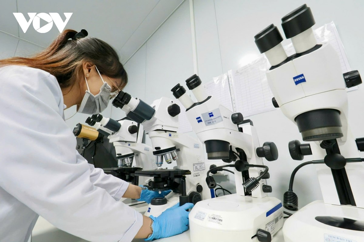 Город Хошимин играет роль локомотива вьетнамской экономики в 2026 году