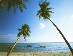 เวียดนาม - จุดหมายที่เพิ่งโดดเด่น