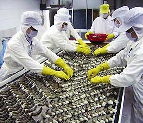 ในปี 2012 การส่งออกของเวียดนามจะเพิ่มขึ้นร้อยละ 13 เมื่อเทียบกับปี 2011