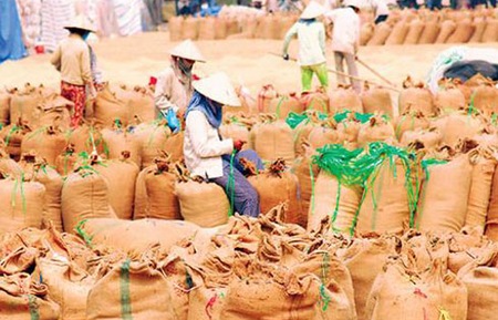 การส่งออกข้าวของเวียดนามเพิ่มขึ้นในเดือนพฤษภาคม