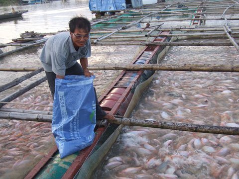 ใช้ศักยภาพผิวน้ำเพื่อพัฒนาการเพาะเลี้ยงสัตว์น้ำอย่างยั่งยืน