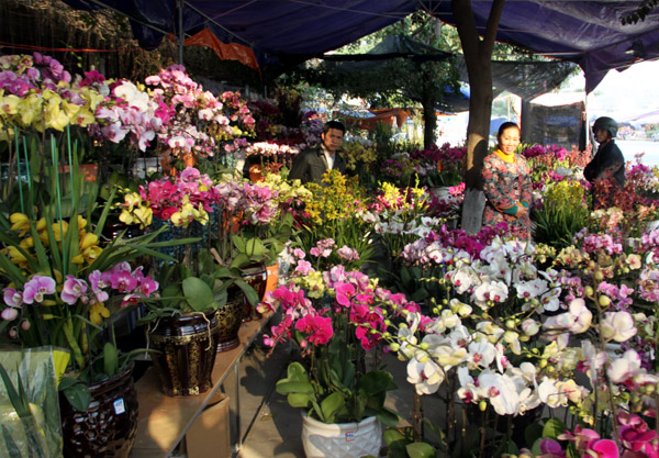 ตลาดดอกไม้ในจังหวัดลาวกายคึกคักในช่วงตรุษเต๊ด