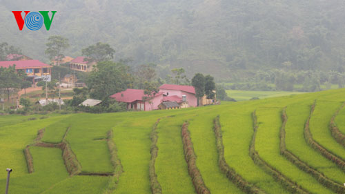 จังหวัดบั๊กก๋านผลักดันการแก้ปัญหาความยากจน