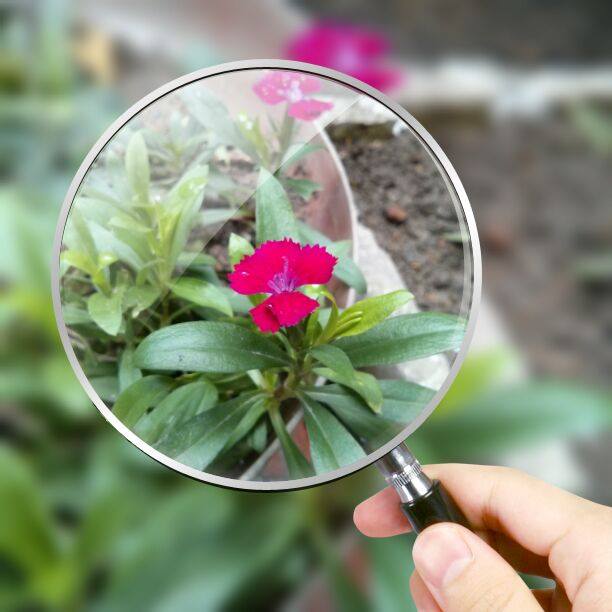 รายการตอบจดหมายท่านผู้ฟังวันที่ 22มีนาคมปี 2014