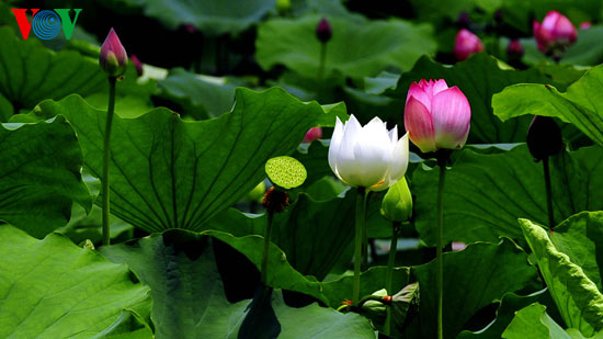 Vietnam - The Hidden Charm