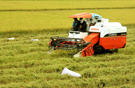 การพัฒนาการเกษตรที่ใช้เทคโนโลยีขั้นสูง – ปัญหาและมาตรการแก้ไข