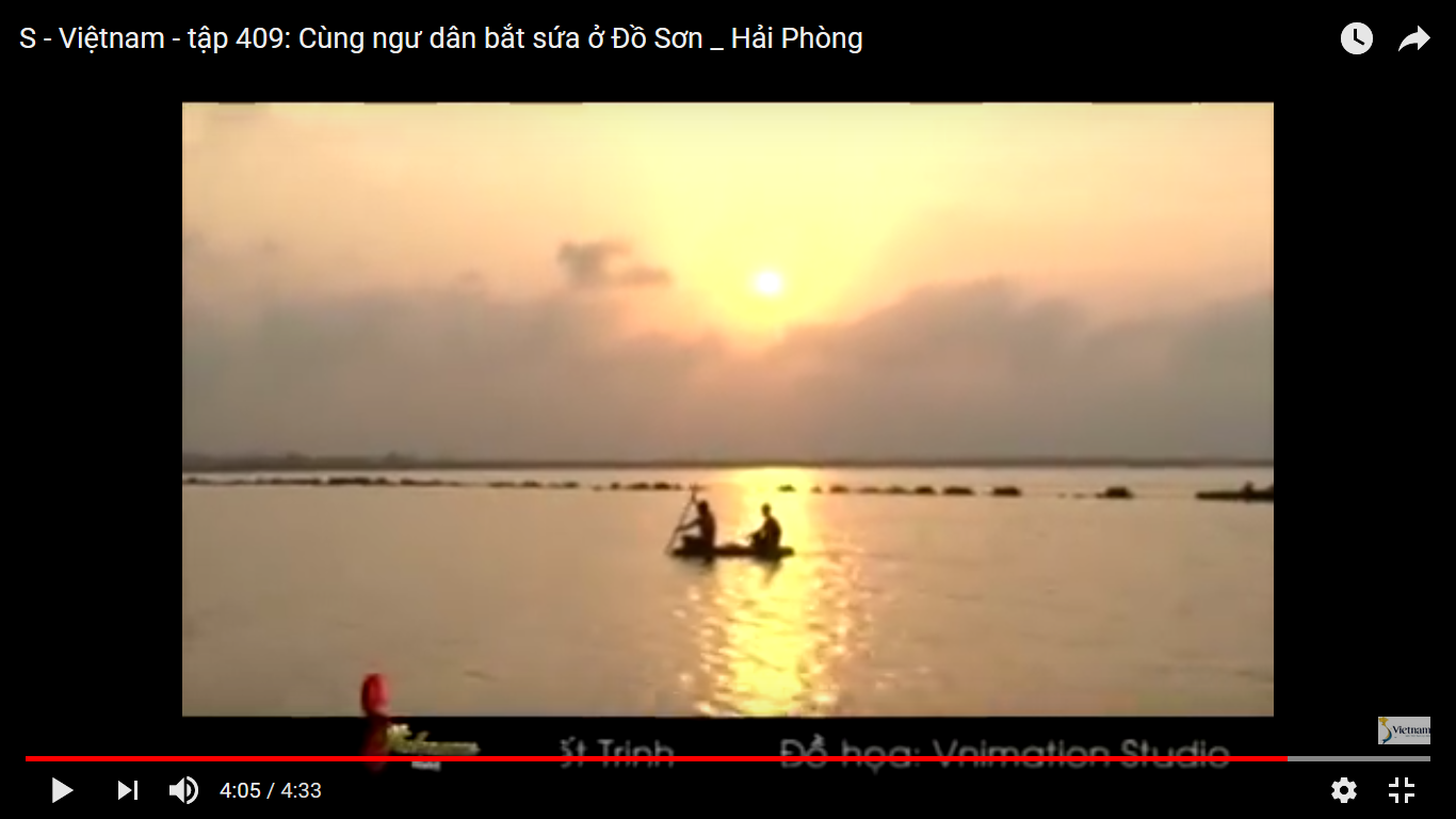 จับแมงกะพรุนที่โด่เซิน – นครไฮฟอง