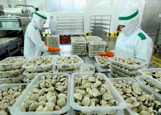 การขยายตัวของเศรษฐกิจเวียดนามในปี 2022 จะอยู่ในระดับสูง