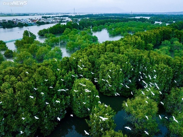 เขตท่องเที่ยวเชิงนิเวศ Cồn Chim – “โอเอซิส” แห่งจังหวัดบิ่งดิ่ง